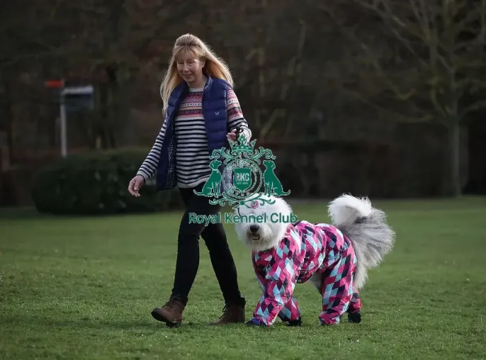 Framed Print : Crufts 2019 - Day Two, NEC, UK - 8 Mar 2019 Framed Print : Crufts 2019 - Day Two, NEC, UK - 8 Mar 2019