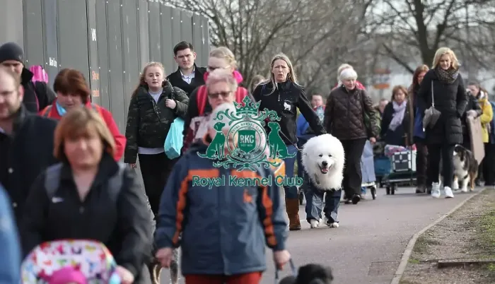 Framed Print : Crufts 2019 - Day Two, NEC, UK - 8 Mar 2019 Framed Print : Crufts 2019 - Day Two, NEC, UK - 8 Mar 2019