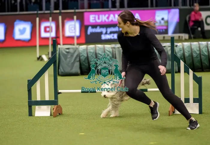 Framed Print : Crufts 2019 - Day Two, NEC, UK - 8 Mar 2019 Framed Print : Crufts 2019 - Day Two, NEC, UK - 8 Mar 2019