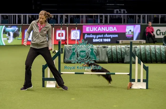 Framed Print : Crufts 2019 - Day Two, NEC, UK - 8 Mar 2019 Framed Print : Crufts 2019 - Day Two, NEC, UK - 8 Mar 2019