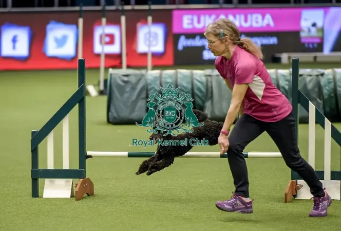 Framed Print : Crufts 2019 - Day Two, NEC, UK - 8 Mar 2019