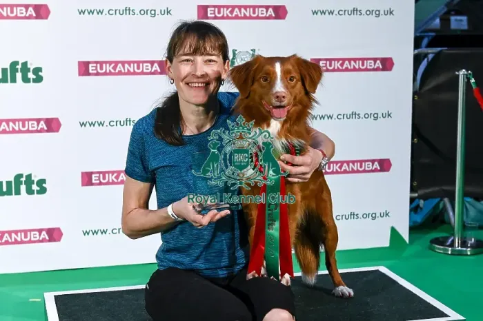 Framed Print : Crufts 2019 - Day Two, NEC, UK - 8 Mar 2019 Framed Print : Crufts 2019 - Day Two, NEC, UK - 8 Mar 2019
