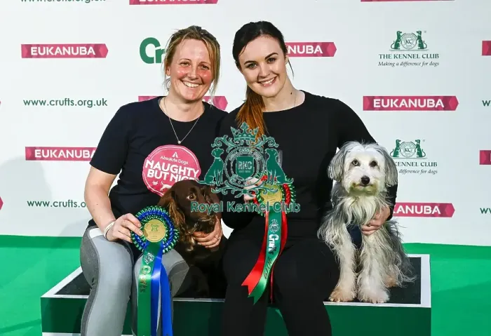 Framed Print : Crufts 2019 - Day Two, NEC, UK - 8 Mar 2019 Framed Print : Crufts 2019 - Day Two, NEC, UK - 8 Mar 2019