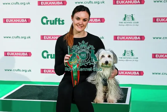Framed Print : Crufts 2019 - Day Two, NEC, UK - 8 Mar 2019 Framed Print : Crufts 2019 - Day Two, NEC, UK - 8 Mar 2019