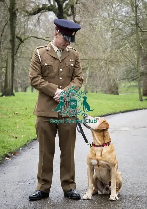 Framed Print : Crufts 2019 - Friends for Life award, London, UK - 5 Feb 2019