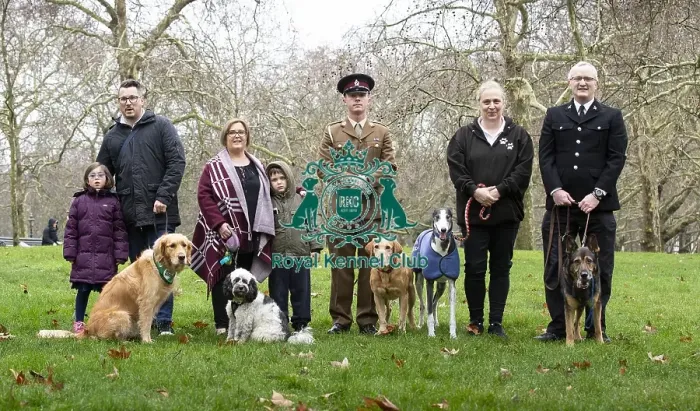 Framed Print : Crufts 2019 - Friends for Life award, London, UK - 5 Feb 2019 Framed Print : Crufts 2019 - Friends for Life award, London, UK - 5 Feb 2019