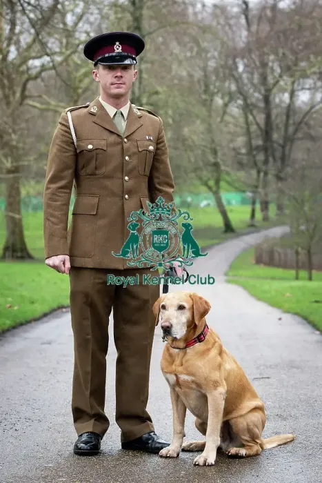Framed Print : Crufts 2019 - Friends for Life award, London, UK - 5 Feb 2019