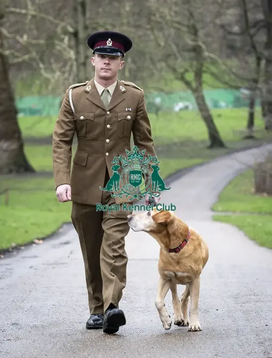 Framed Print : Crufts 2019 - Friends for Life award, London, UK - 5 Feb 2019 Framed Print : Crufts 2019 - Friends for Life award, London, UK - 5 Feb 2019