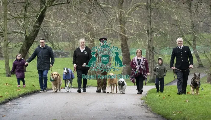 Framed Print : Crufts 2019 - Friends for Life award, London, UK - 5 Feb 2019 Framed Print : Crufts 2019 - Friends for Life award, London, UK - 5 Feb 2019