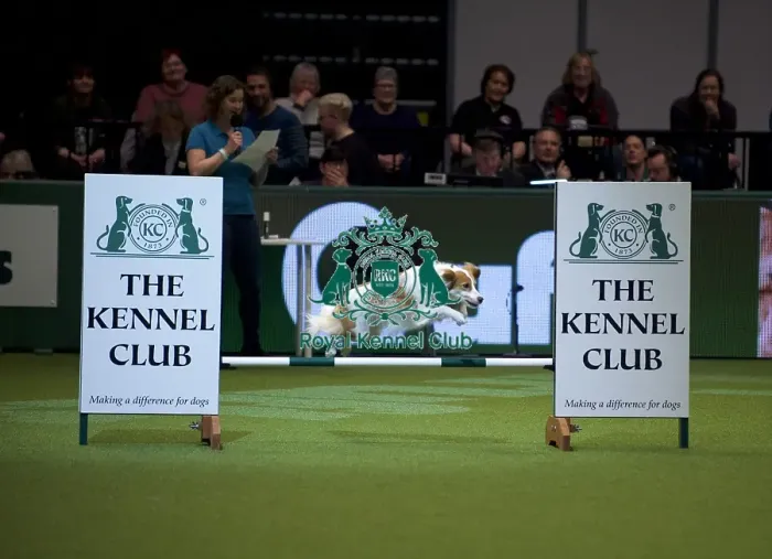 Framed Print : Crufts 2020 Framed Print : Crufts 2020