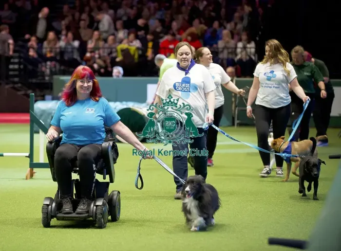 Framed Print : Crufts 2020