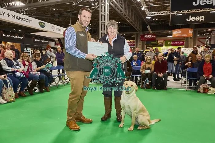Framed Print : Crufts 2020 Framed Print : Crufts 2020
