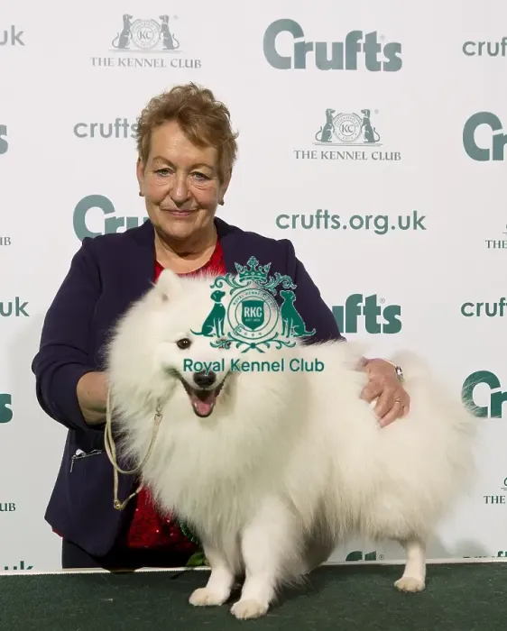 Framed Print : Crufts 2020 Framed Print : Crufts 2020