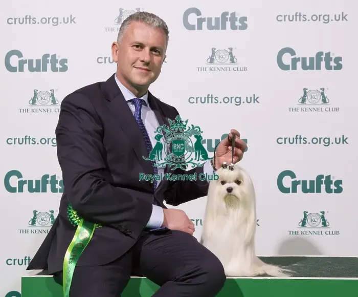 Framed Print : Crufts 2020 Framed Print : Crufts 2020