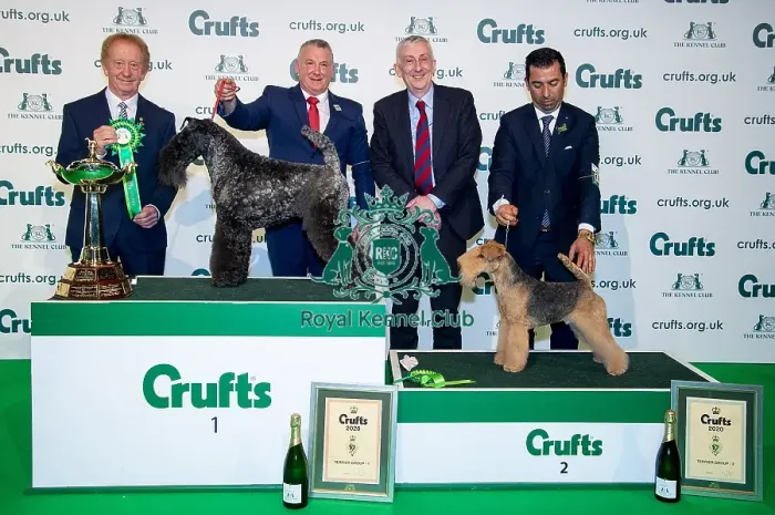 Framed Print : Crufts 2020 Framed Print : Crufts 2020