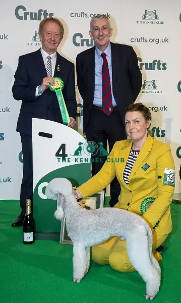 Kennel Club Crufts Tickets 2020 Crufts Art Prints, Posters Puzzles