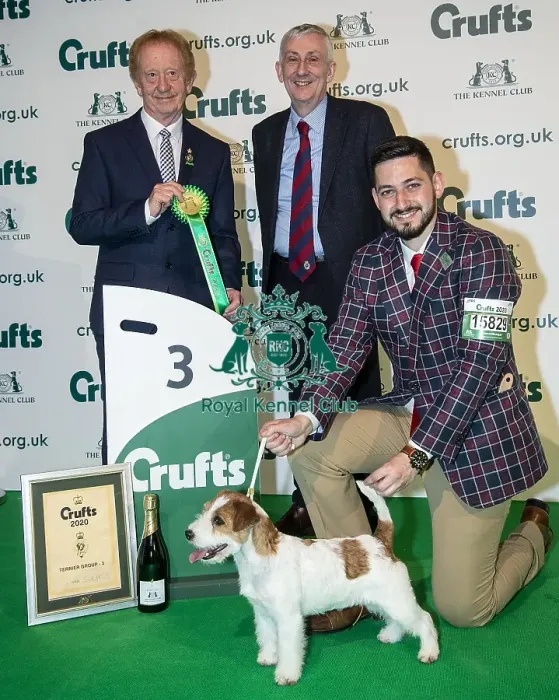 Framed Print : Crufts 2020 Framed Print : Crufts 2020