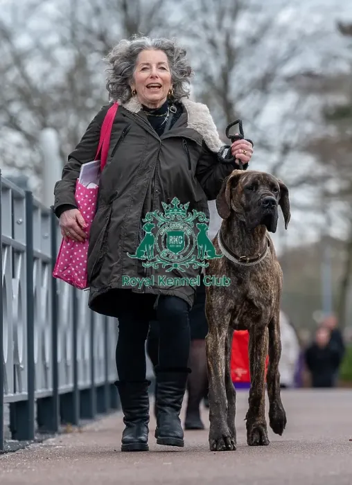 Framed Print : Crufts 2022 Framed Print : Crufts 2022