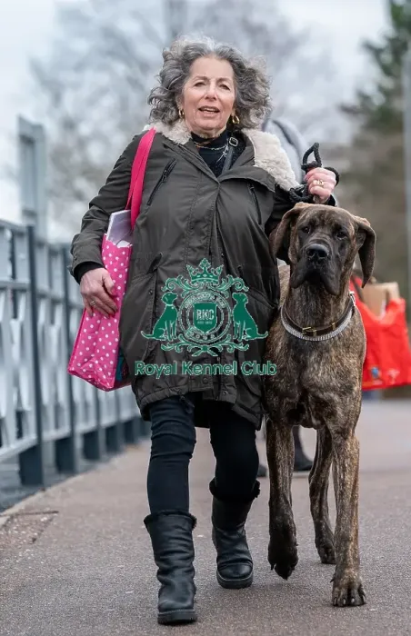 Framed Print : Crufts 2022 Framed Print : Crufts 2022