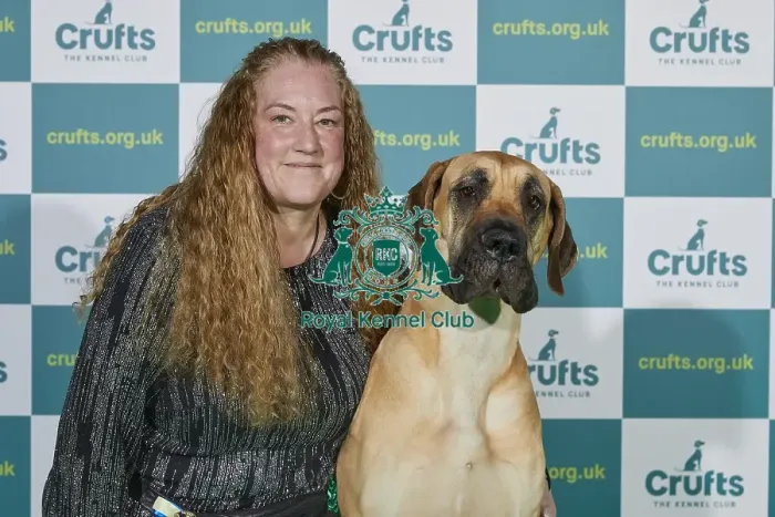 Framed Print : Crufts 2022 Framed Print : Crufts 2022