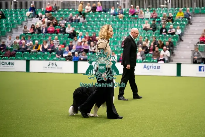 Framed Print : Crufts 2022 Framed Print : Crufts 2022