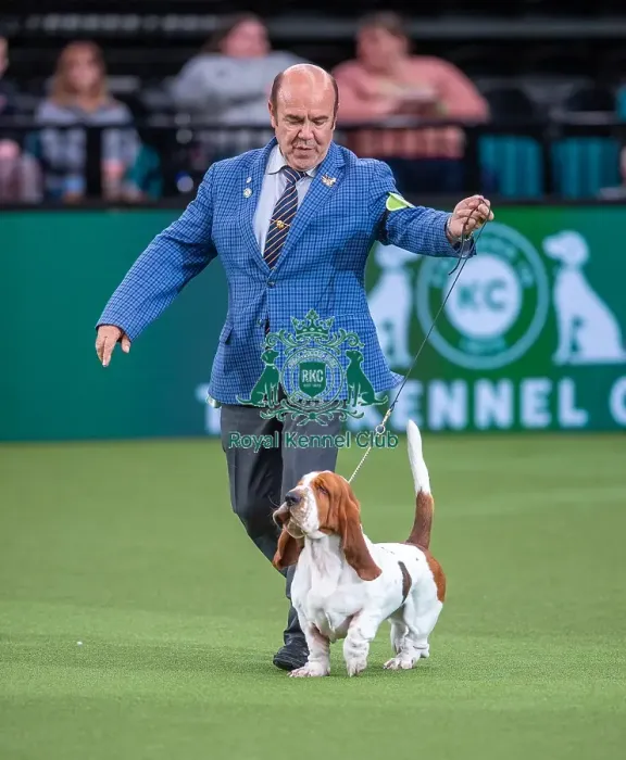 Framed Print : Crufts 2022 Framed Print : Crufts 2022