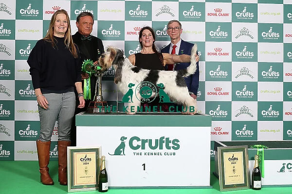 Crufts 2024 Best in Group Hound 1st Place Basset Griffon Vendeen (Grand) Hound Group 1 Ch Forget-Me-Not V Tum-Tum's Vriendjes Owner: Mrs A N Huikeshoven