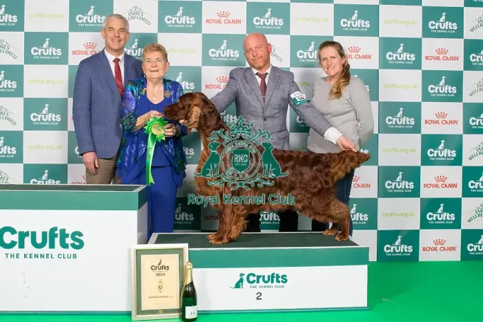 Framed Print : Crufts 2024 Best in Gundog Group 2nd Place Irish Setter Sh Ch Riverbrue Morning Glory, Breed: Irish Setter Owners: Mr B A & Miss C Crocker & Lewis Gundog Group 2