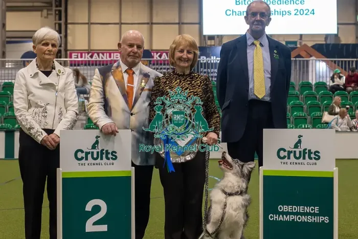 Framed Print : Crufts 2024 Official photos by Robert Simpson, RKC102321 Framed Print : Crufts 2024 Official photos by Robert Simpson, RKC102321