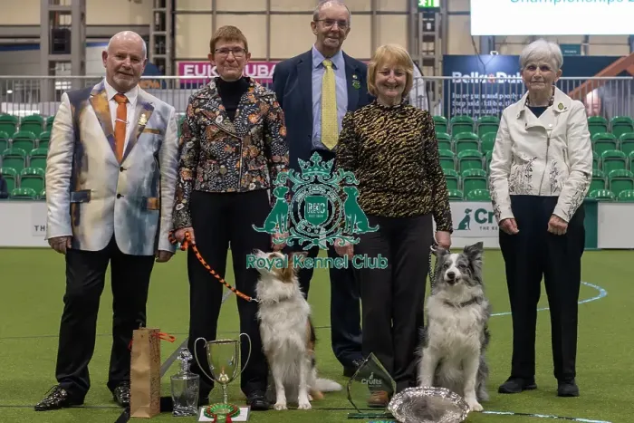 Framed Print : Crufts 2024 Official photos by Robert Simpson, RKC102322 Framed Print : Crufts 2024 Official photos by Robert Simpson, RKC102322