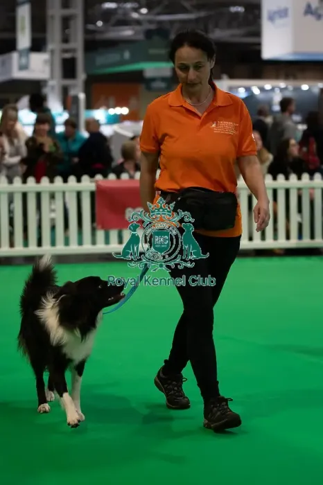 Framed Print : CRUFTS 2024- Thursday Framed Print : CRUFTS 2024- Thursday