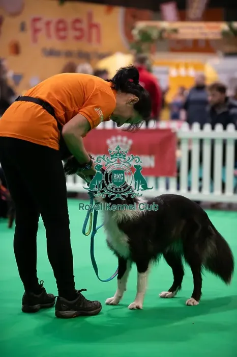 Framed Print : CRUFTS 2024- Thursday Framed Print : CRUFTS 2024- Thursday