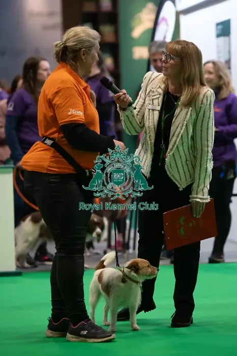Framed Print : CRUFTS 2024- Thursday Framed Print : CRUFTS 2024- Thursday