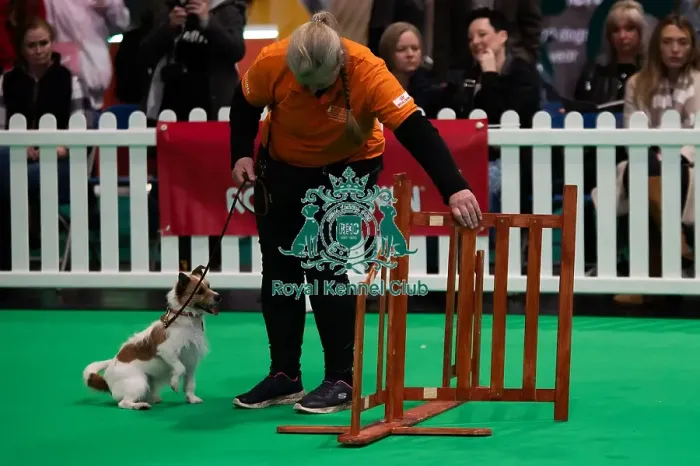 Framed Print : CRUFTS 2024- Thursday Framed Print : CRUFTS 2024- Thursday