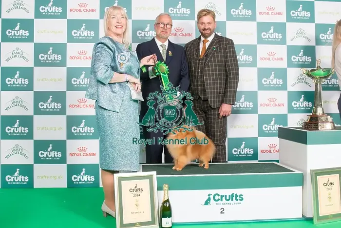 Framed Print : Crufts 2024 - Toy Group 2 Ch Lireva's Wildest Dreams, Owner: A M Cawthera-Purdy