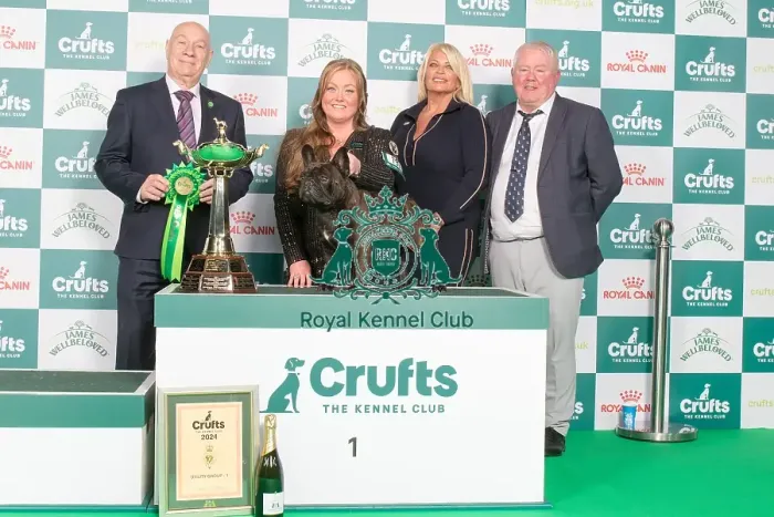 Framed Print : Crufts 2024 - Utility Group 1 Ch / esp Ch Chelmbull Rocket Man Ww Owners: Miss A & Mr D, Mr A & Mrs L Cund & Harrop