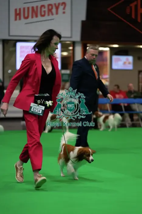 Framed Print : Crufts 2025 Friday