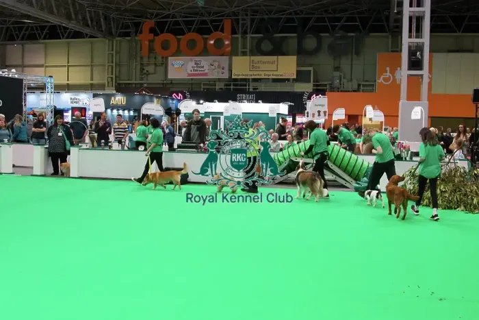 Framed Print : Crufts 2025, Friday 7th March - Have a go Rally
