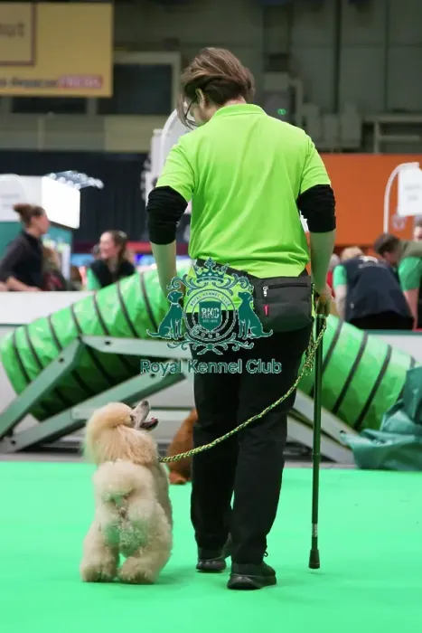 Framed Print : Crufts 2025, Friday 7th March - Have a go Rally Framed Print : Crufts 2025, Friday 7th March - Have a go Rally