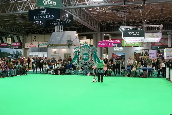 Framed Print : Crufts 2025, Friday 7th March - Have a go Rally
