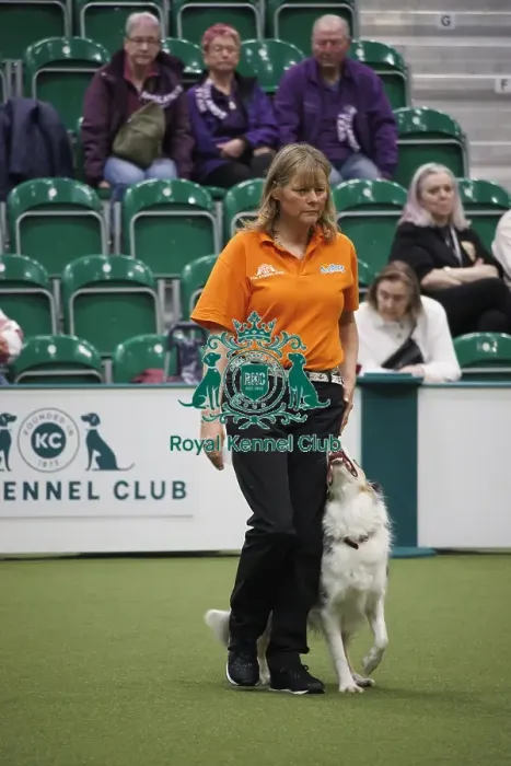 Framed Print : Crufts 2025, Friday Inter-Regional Obedience Competition Framed Print : Crufts 2025, Friday Inter-Regional Obedience Competition