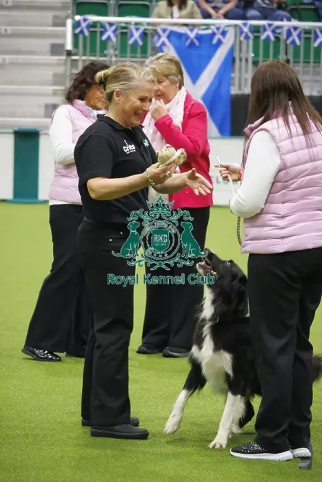 Framed Print : Crufts 2025, Friday Inter-Regional Obedience Competition Framed Print : Crufts 2025, Friday Inter-Regional Obedience Competition