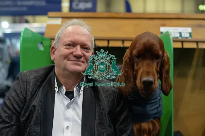 Framed Print : Crufts 2025 - Irish Setters Framed Print : Crufts 2025 - Irish Setters