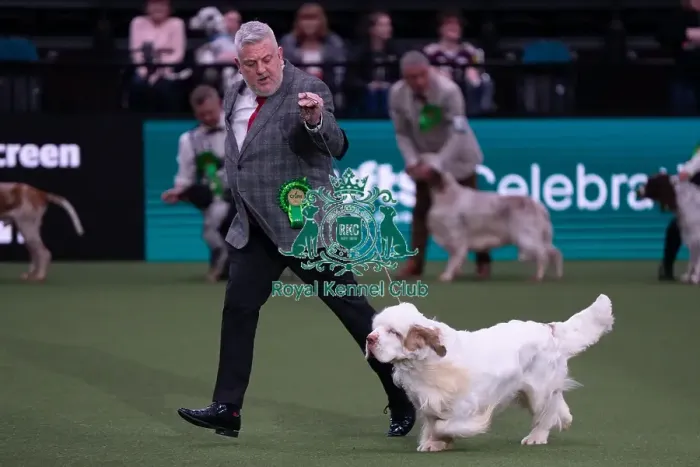 Framed Print : Crufts 2025 Saturday