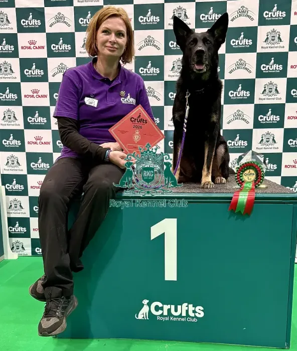 Framed Print : Crufts 2026 Obedience, Crufts 2026 Rally