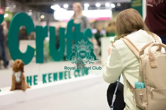 Framed Print : Crufts around the show Framed Print : Crufts around the show