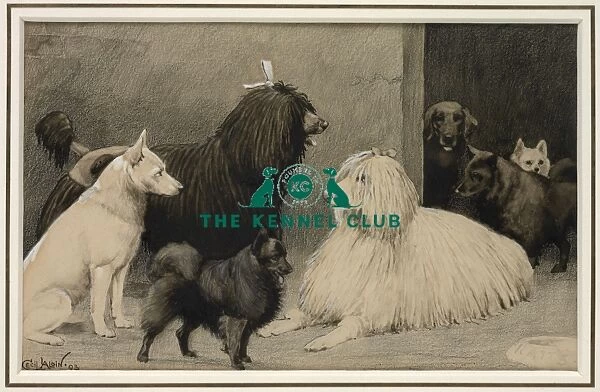 Crufts, Agricultural Hall, 1893