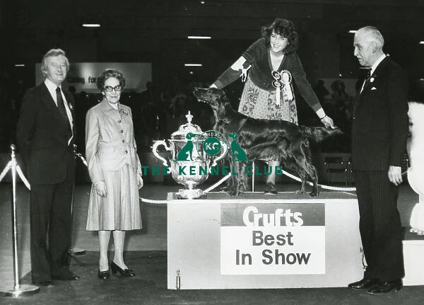 Crufts Best in Show 1981