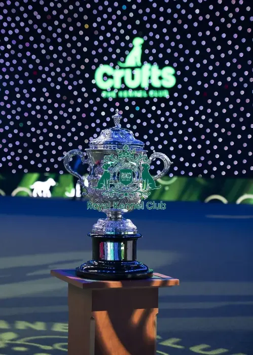 Framed Print : The Crufts Best in Show Keddell Memorial trophy Framed Print : The Crufts Best in Show Keddell Memorial trophy