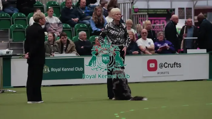 Framed Print : Crufts Obedience Championship Bitches Sunday 8th March 2026